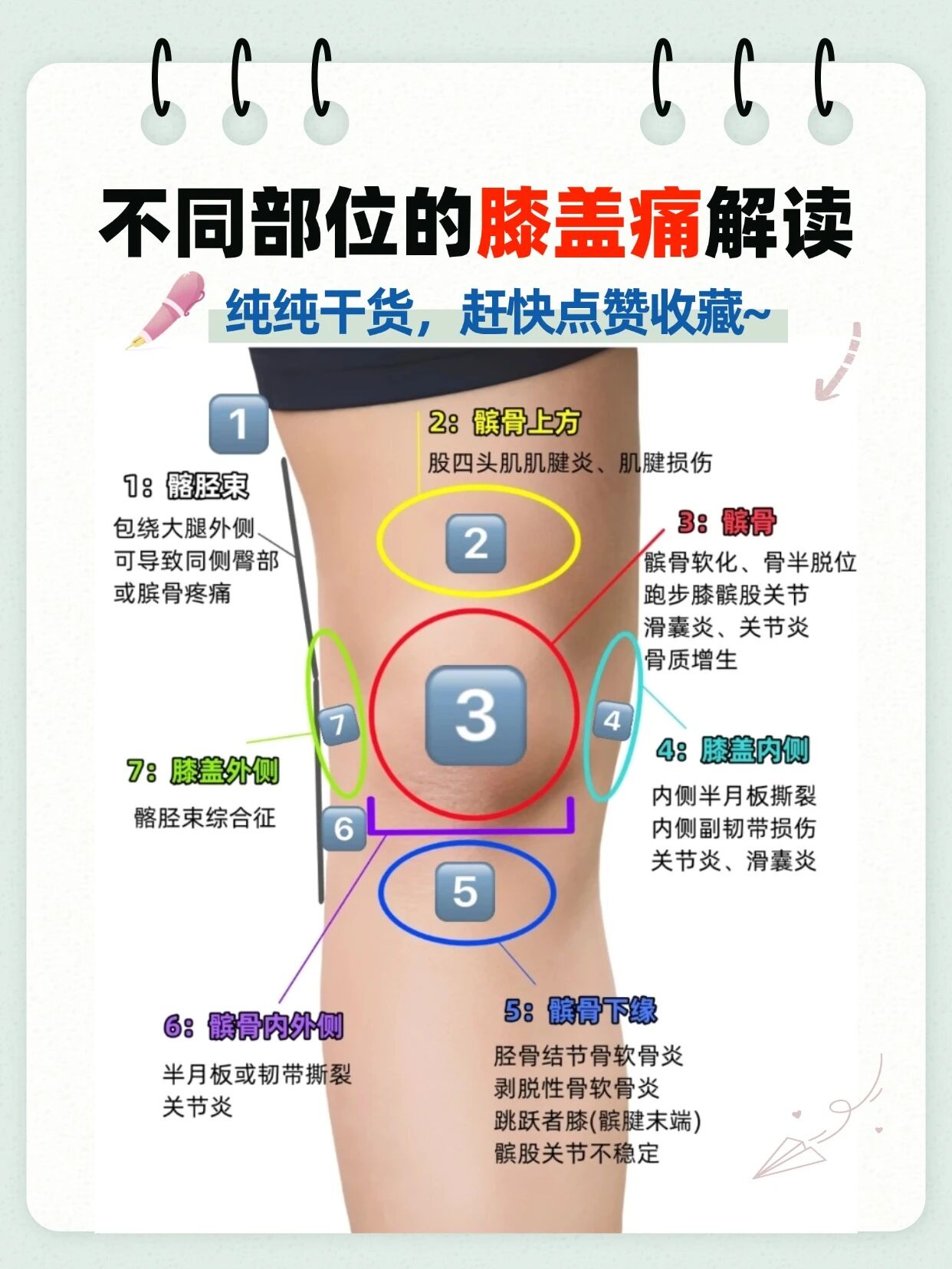 膝蓋疼別亂揉！不同部位的膝蓋痛詳細解讀，純干貨！